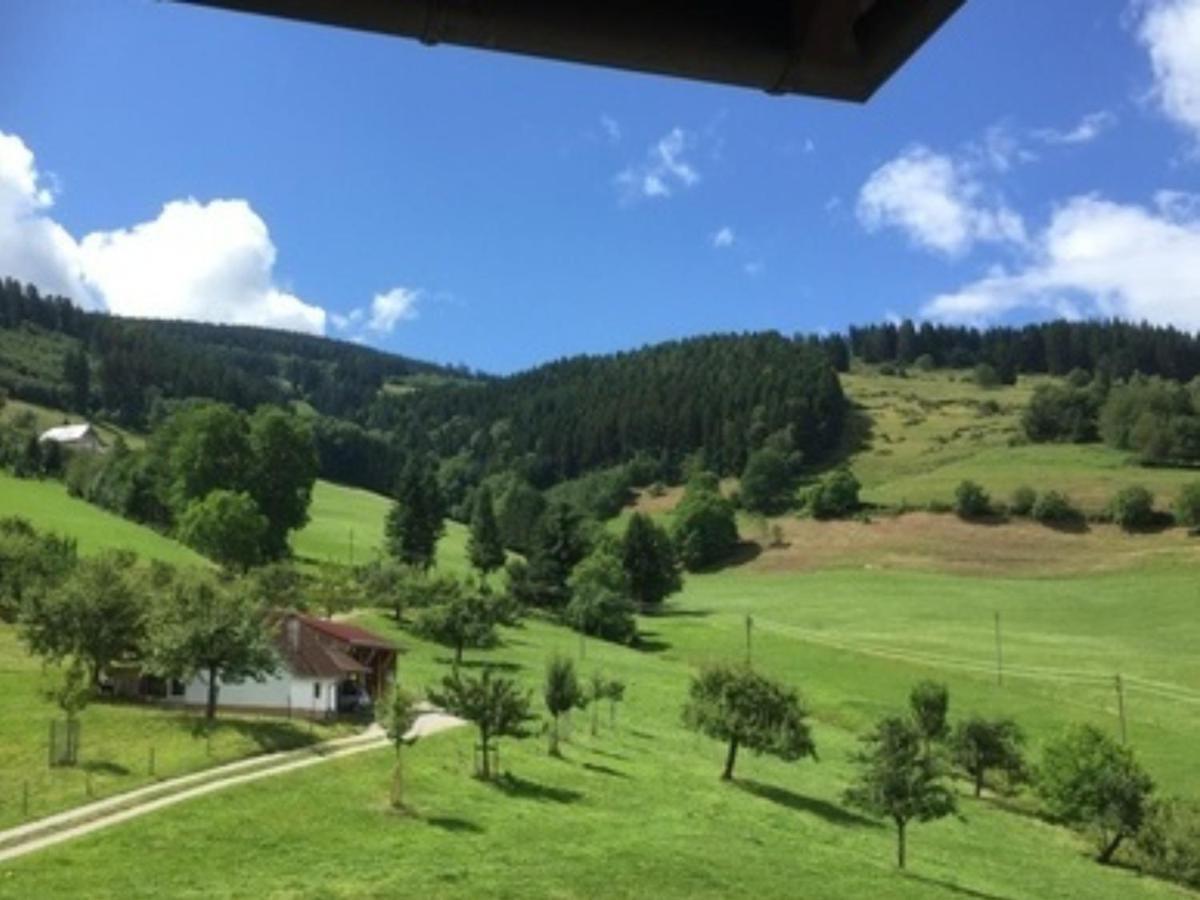 Ferienwohnungen Maierhof Oberried Оберрид Экстерьер фото