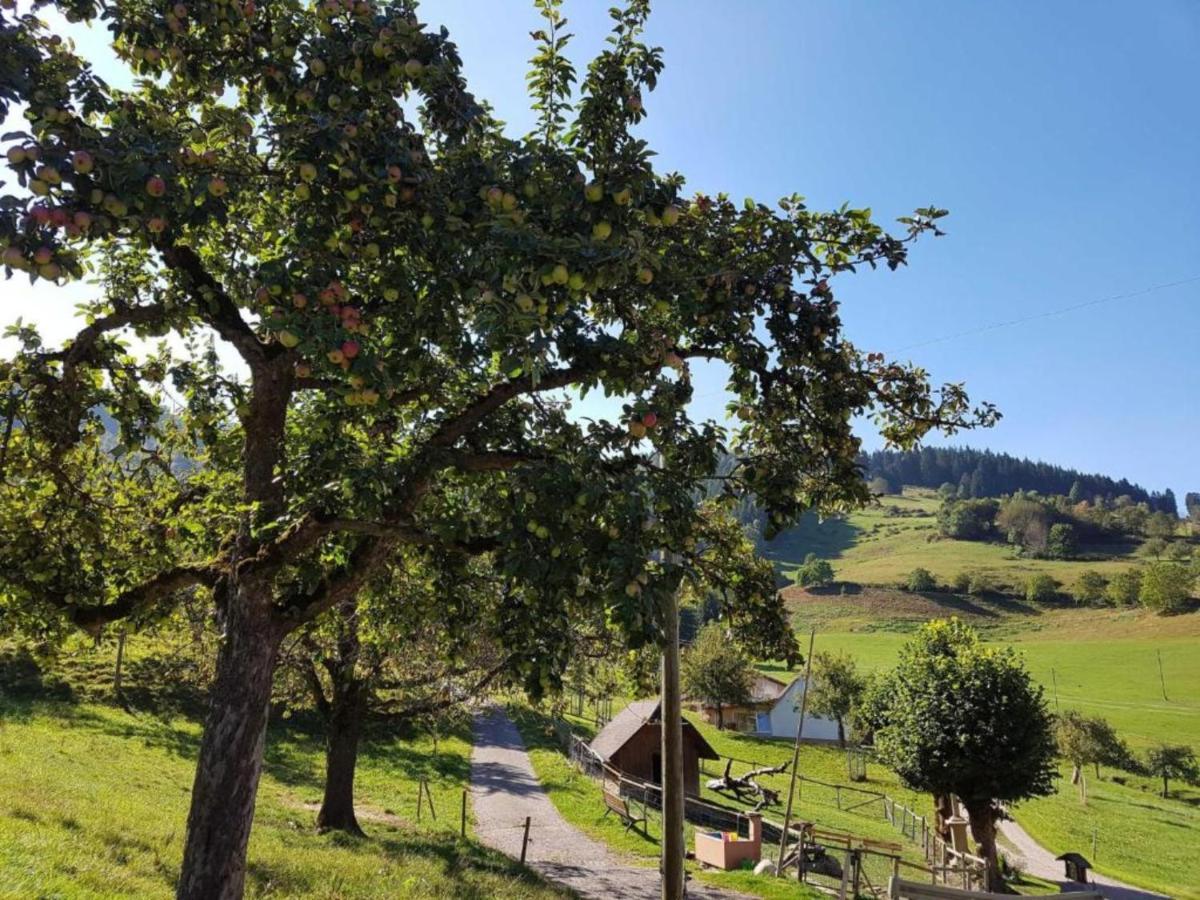 Ferienwohnungen Maierhof Oberried Оберрид Экстерьер фото